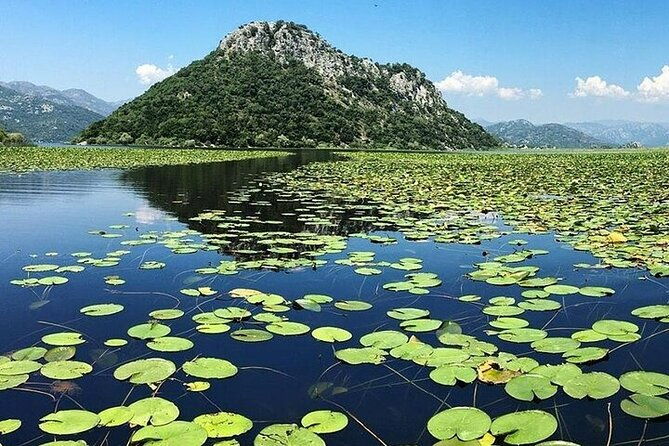 two-hours-sightseeing-lake-cruise-at-montenegro-national-park