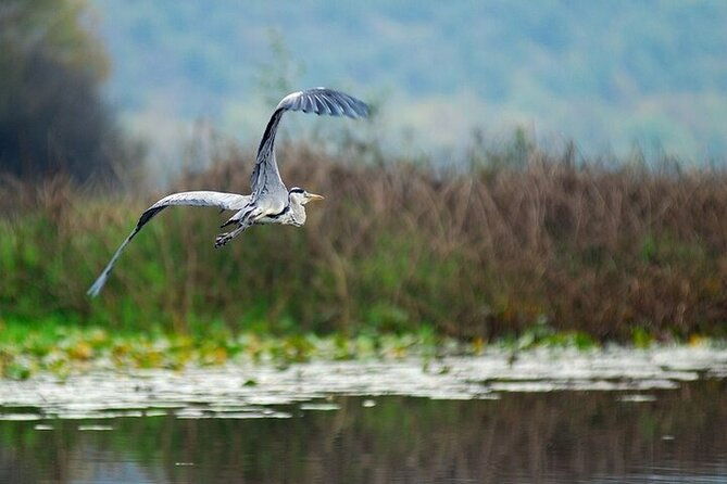 two-hours-sightseeing-lake-cruise-at-montenegro-national-park