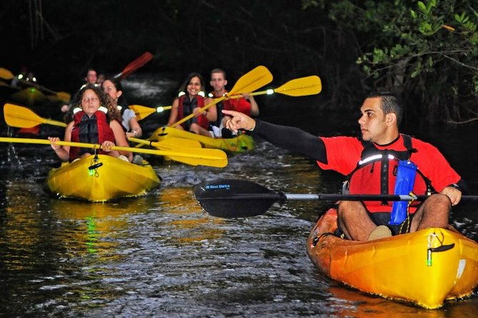 two-in-one-day-trip-el-yunque-and-bio-bay-tour-with-transport