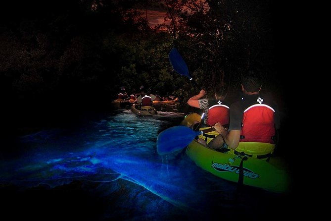 two-in-one-day-trip-el-yunque-and-bio-bay-tour-with-transport