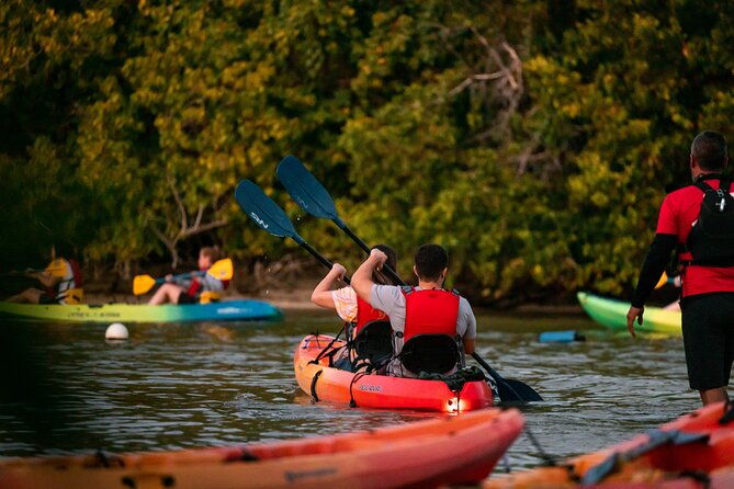 two-in-one-day-trip-el-yunque-and-bio-bay-tour-with-transport