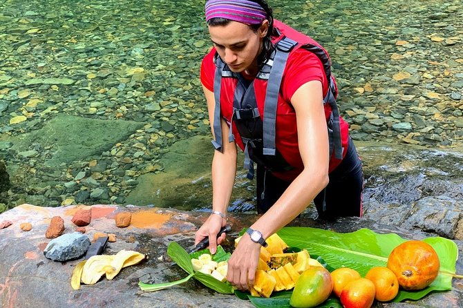 two-in-one-day-trip-el-yunque-and-bio-bay-tour-with-transport