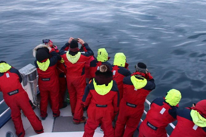 two-in-one-whale-puffin-watching-tours-from-reykjavik