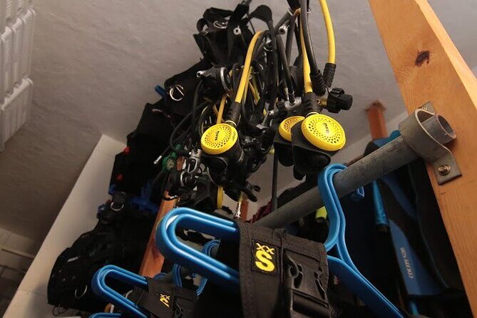 Two Morning Dives in Gozo for Certified Diver - Why Choose This Tour?