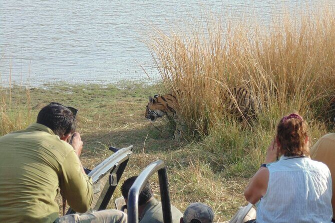 Two Night Safari Experience Ranthambore National Park &Transfers - Possible Drawbacks or Considerations