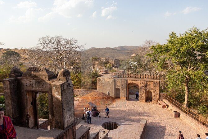 Two Night Safari Experience Ranthambore National Park &Transfers - The Value of This Tour