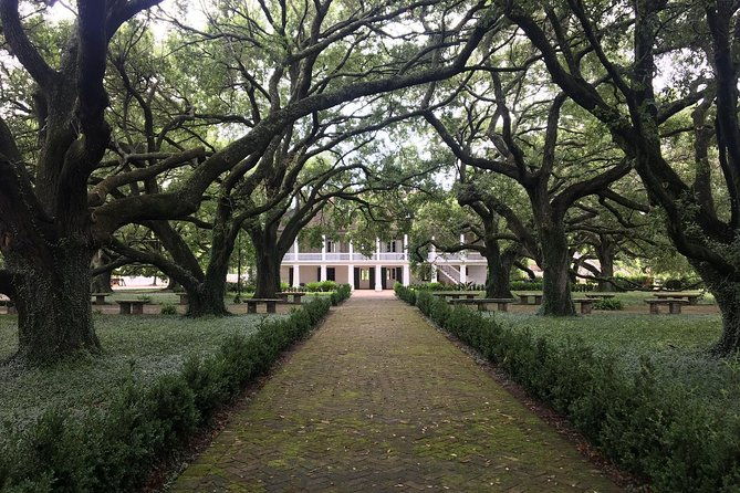 two-plantation-tour-oak-alley-and-laura-or-whitney