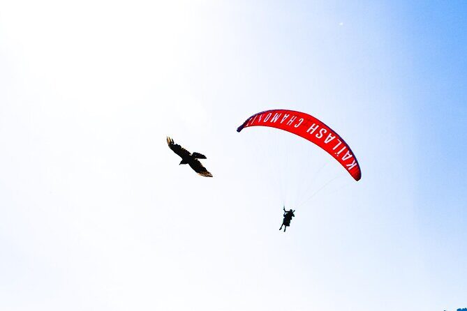 Two-seater paragliding flight in Chamonix - Final Thoughts