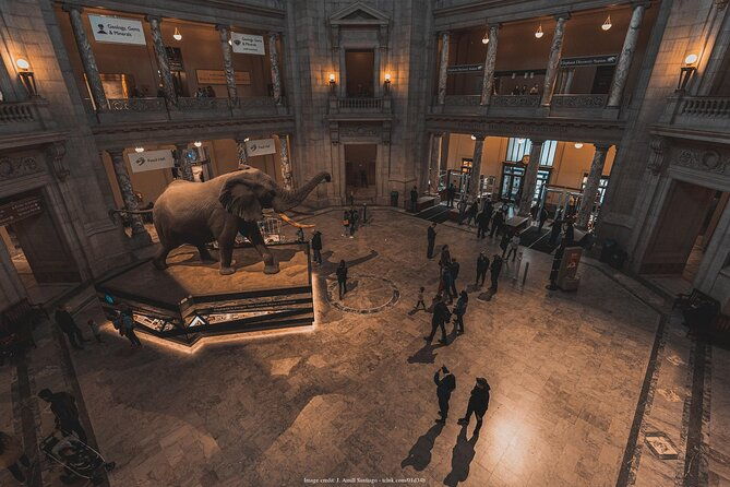 two-smithsonian-museums-american-natural-history-private-tour
