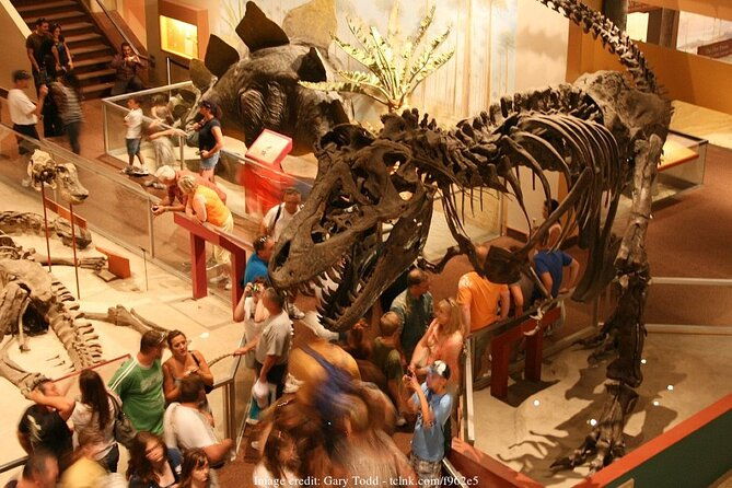 two-smithsonian-museums-american-natural-history-private-tour