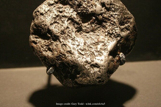 two-smithsonian-museums-american-natural-history-private-tour