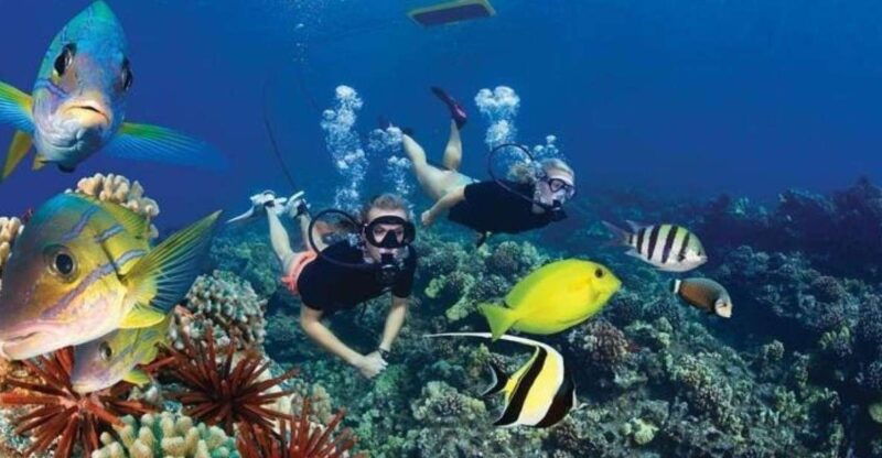 two-stop-deluxe-molokini-snorkel