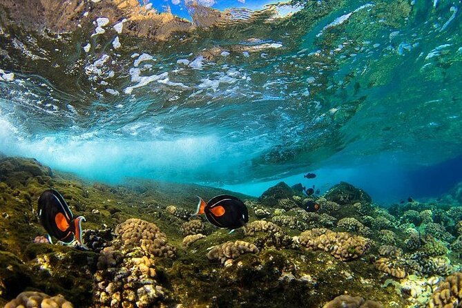 two-stop-snorkel-adventure-from-maui