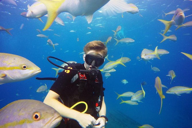 two-tank-dive-for-certified-diving-in-st-thomas