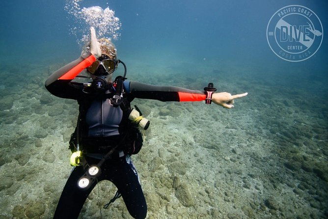 two-tanks-scuba-diving-tour-at-catalina-islands-north-island-cr