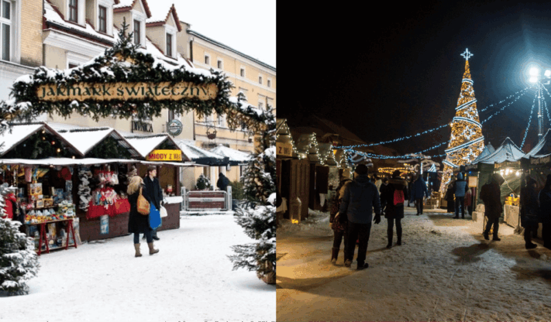 tychy-brewery-museum-tour-with-tastings-and-bison-reservoir