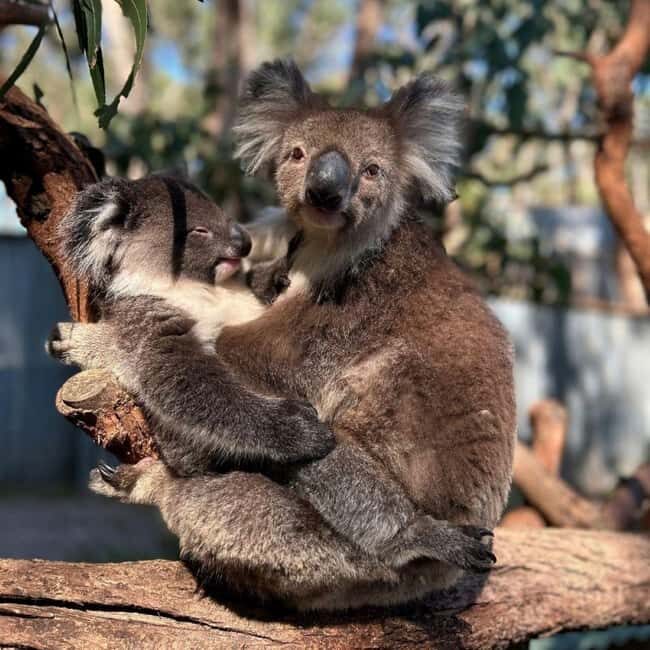 Tynong/Melbourne: Gumbuya World Theme Park Entry Ticket - Introduction: Why Gumbuya World Is Worth Considering
