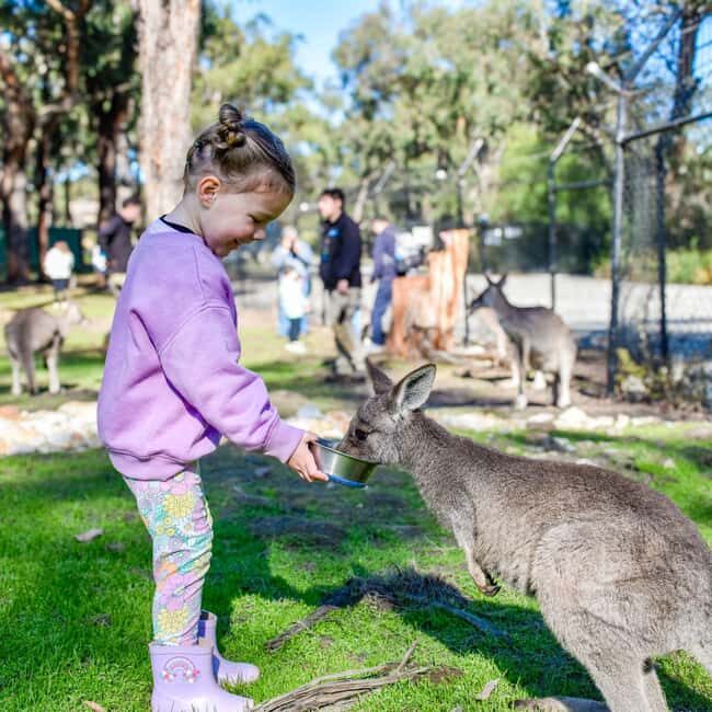 Tynong/Melbourne: Gumbuya World Theme Park Entry Ticket - What to Expect on Your Visit