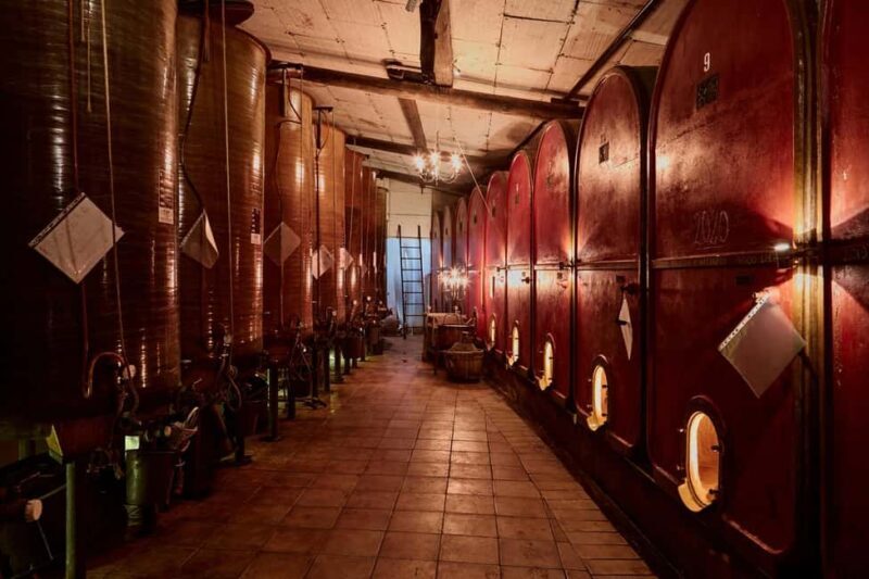 Typical experience in Monferrato: winery tour, tasting, and lunch - Key Points
