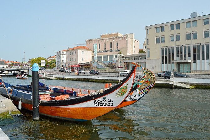 typical-moliceiro-or-mercantel-cruise-in-aveiro