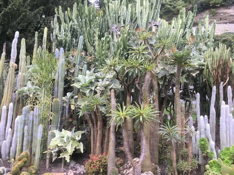 Überlingen: Private city tour with wine tasting - Overview of the Tour Experience