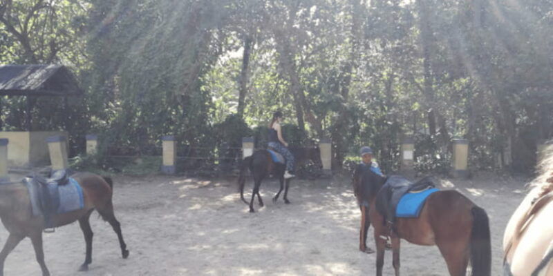 ubud-1-hour-beach-horse-riding-with-transfer