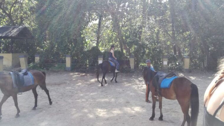 ubud-1-hour-beach-horse-riding-with-transfer