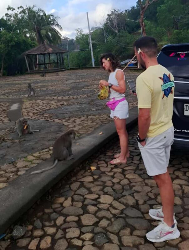 Ubud: 3-Day Tour with Sacred Monkey Forest Sanctuary. - FAQ