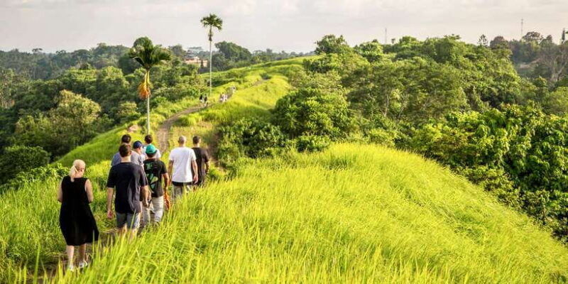 ubud-3-hour-walking-tour-with-lunch