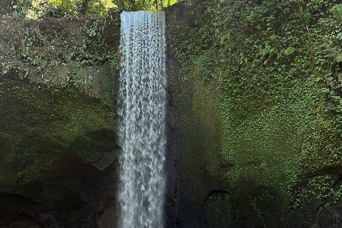 Ubud 4 Waterfall Tour with Private Driver - Exploring the Itinerary in Detail