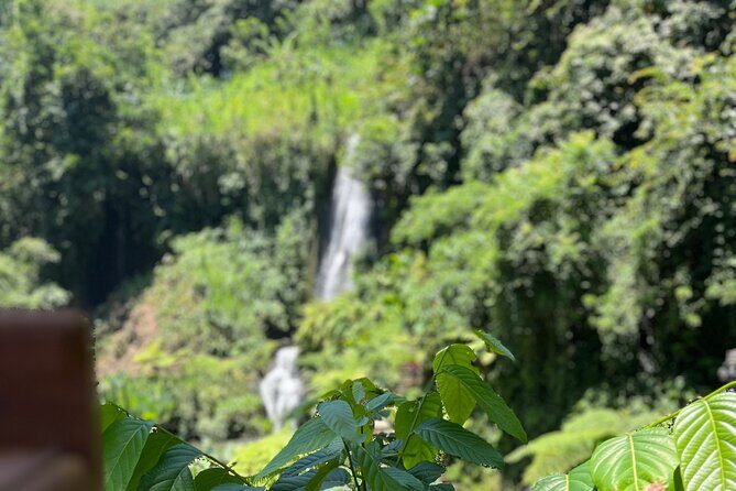 Ubud 4 Waterfall Tour with Private Driver - Why This Tour Is Worth Considering