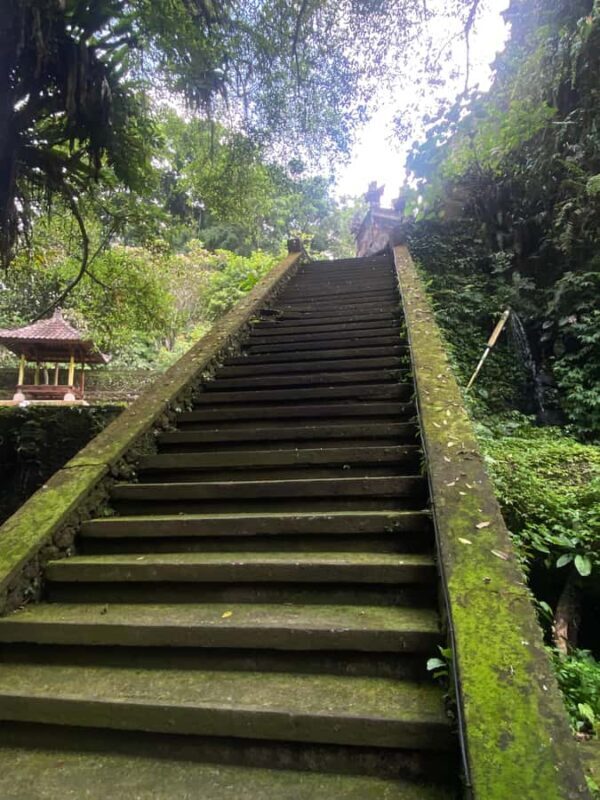 Ubud: A Healing Experience That Meets You Where You Are - The Sum Up