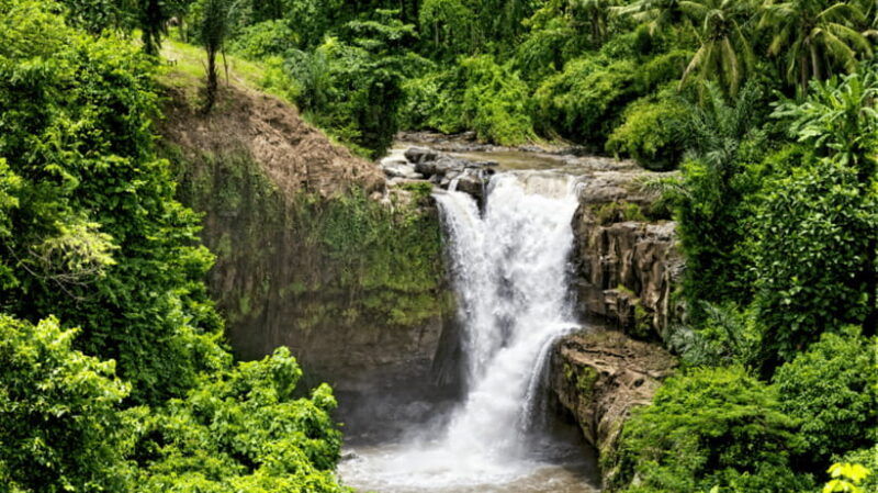 ubud-adventure-atv-thrills-monkey-encounters-waterfall