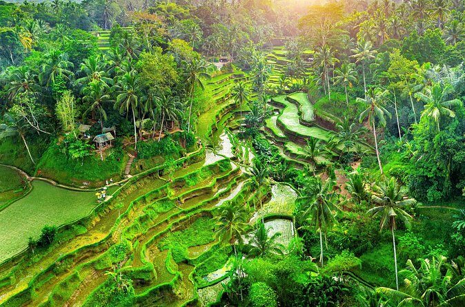 Ubud Adventure: Forest, Swing and Holy Spring - FAQ