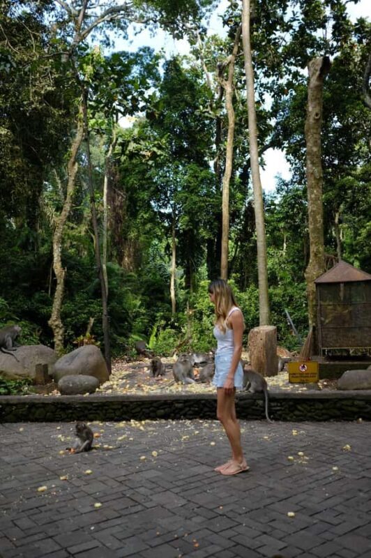 Ubud Adventure: Monkey Forest, Rice Terraces & Waterfalls - Who Is This Tour Best Suited For?