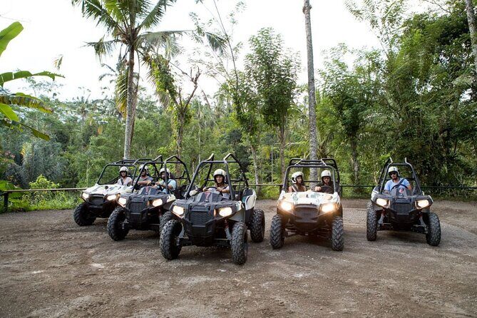 Ubud Adventure Paradise: Buggies Rafting Cycling Trekking - Key Points