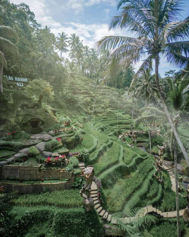 ubud-alas-harum-day-pass-swing-sky-bike-flying-fox