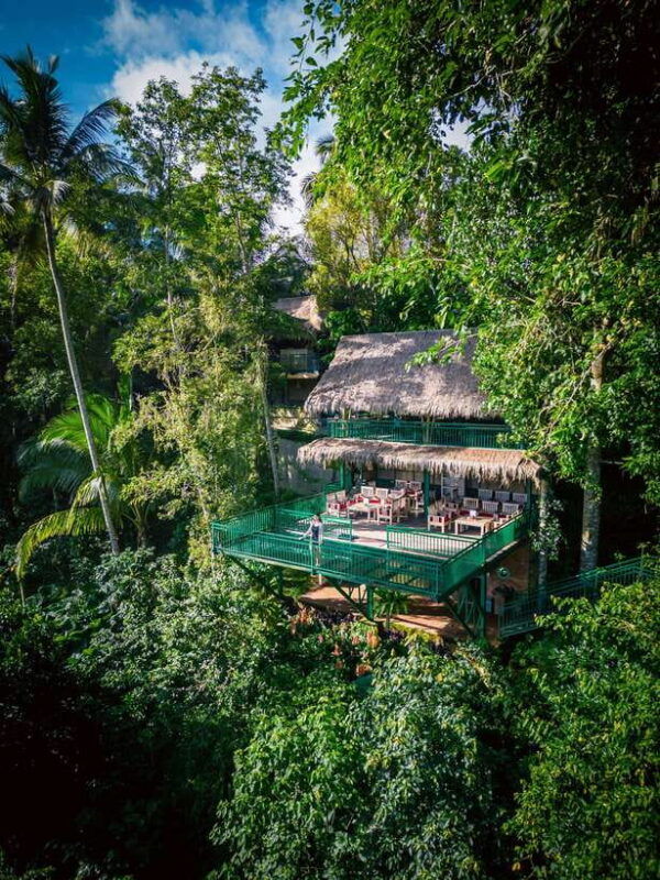 ubud-alas-harum-day-pass-swing-sky-bike-flying-fox