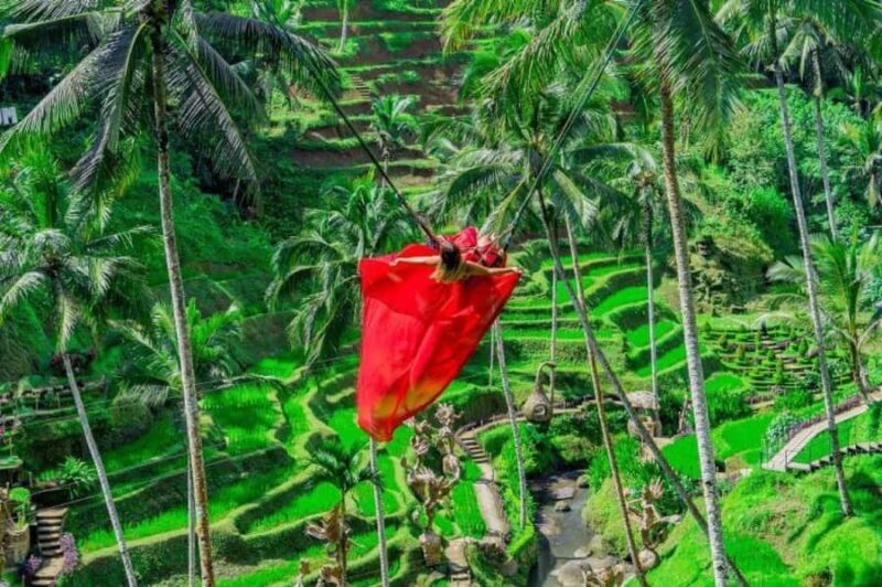 Ubud: Alas Harum, Temple, and Waterfall - Private Tour - A Closer Look at the Itinerary and Highlights