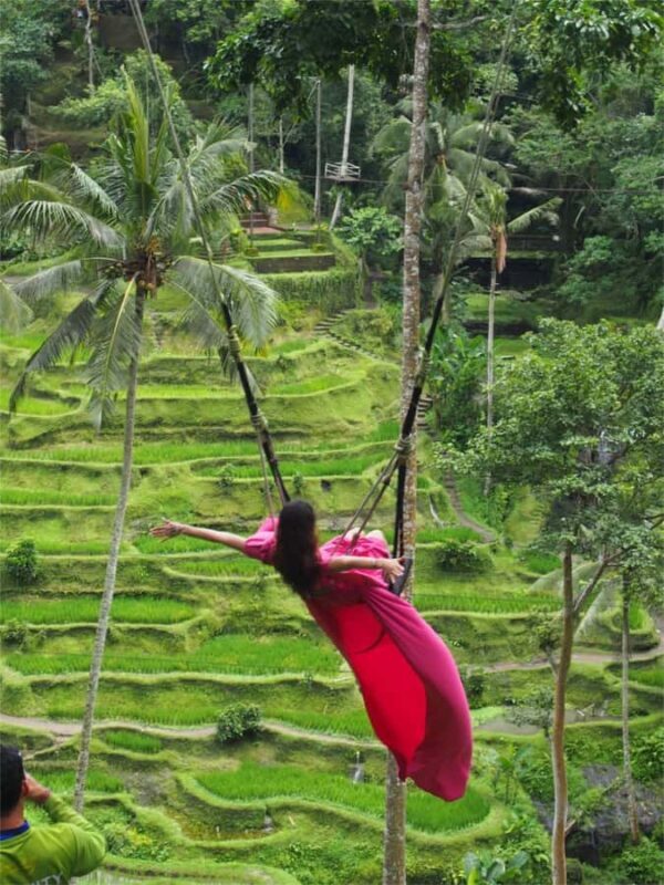 Ubud: Alas Harum, Temple, and Waterfall - Private Tour - FAQs