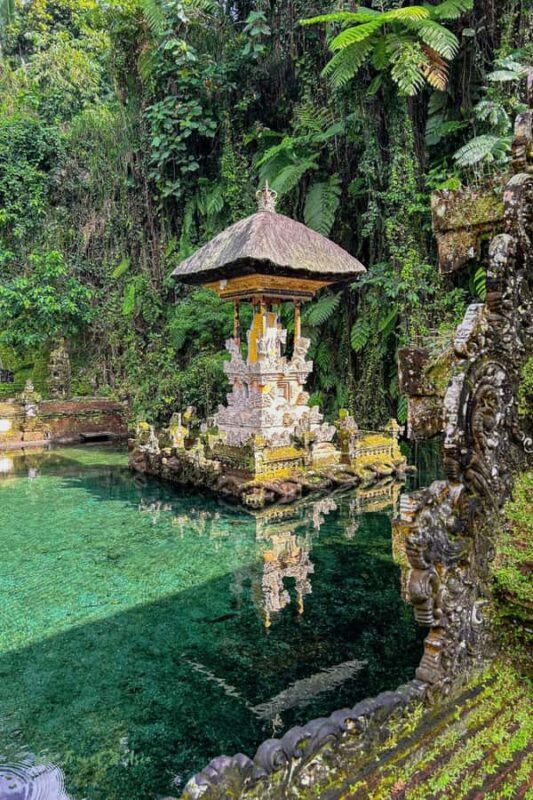 Ubud: Alas Harum, Temple, and Waterfall - Private Tour - Final Thoughts
