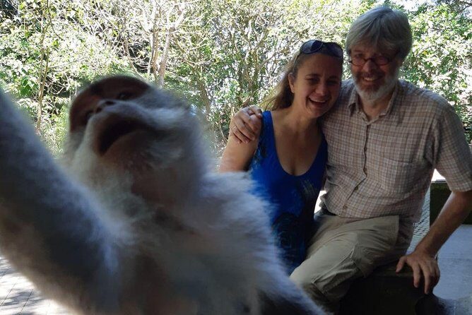 Ubud All Inclusive Sightseeing Tour - Practical Tips for Making the Most of Your Day