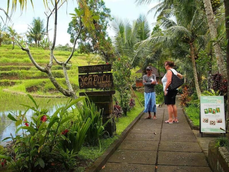 Ubud Ancient Wonders: Goa Garba, Cliff Temple & Yeh Pulu - Exploring Ubud’s Hidden Archaeological Gems