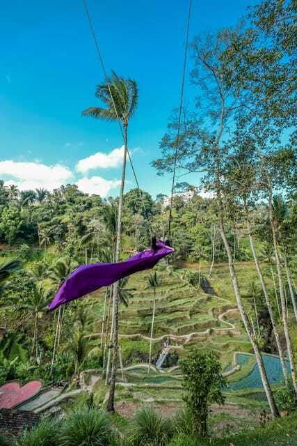 ubud-atr-village-waterfaall-tirta-empul-and-swing