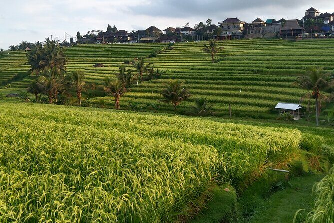 Ubud : ATV Bali Quad Bike Adventure - Authentic Experiences from Real Travelers