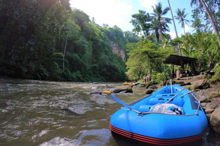 ubud-atv-balis-off-road-terrain-discover