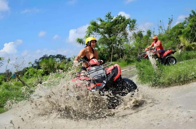 Ubud: ATV Quad Bike Adventure Jungle, River & Rice Fields - Who Will Love This Tour?
