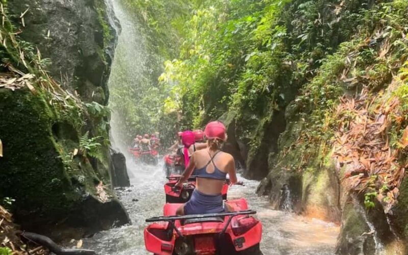 Ubud: ATV Quad Bike, Jungle Swing & Coffee Plantation - An In-Depth Look at the Tour Experience