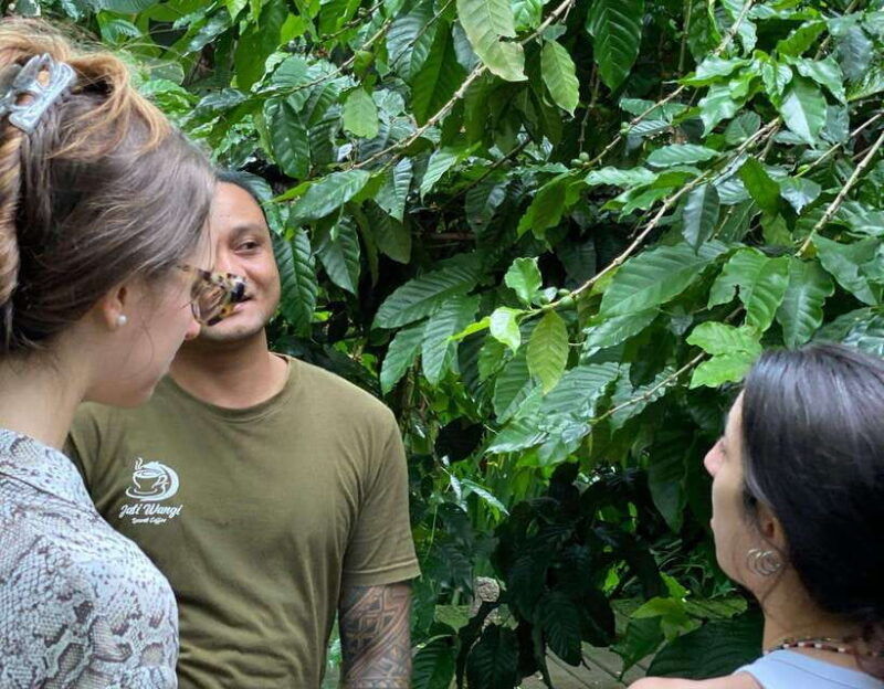 ubud-atv-quad-bike-ride-adventure-bali-with-ubud-jungle