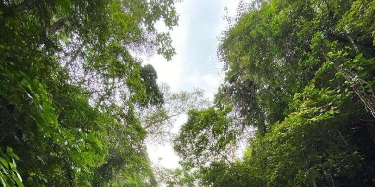 ubud-atv-quad-bike-white-water-rafting-with-lunch